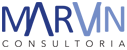 Marvin Consultoria